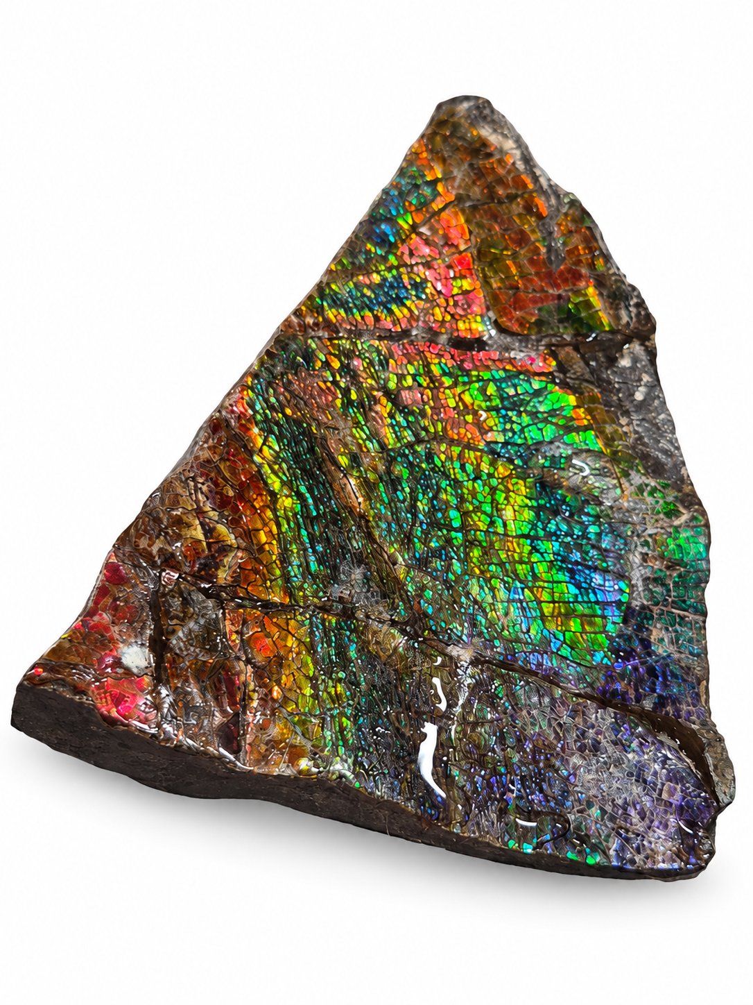 Large Rainbow Corner Negative Cap CGSS9 with full rainbow colour