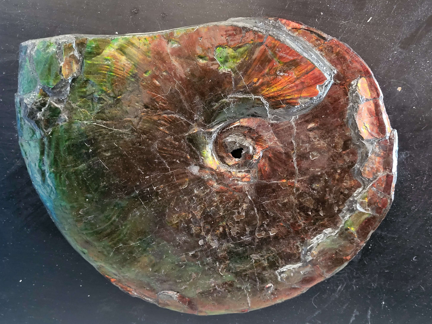 Shell 3