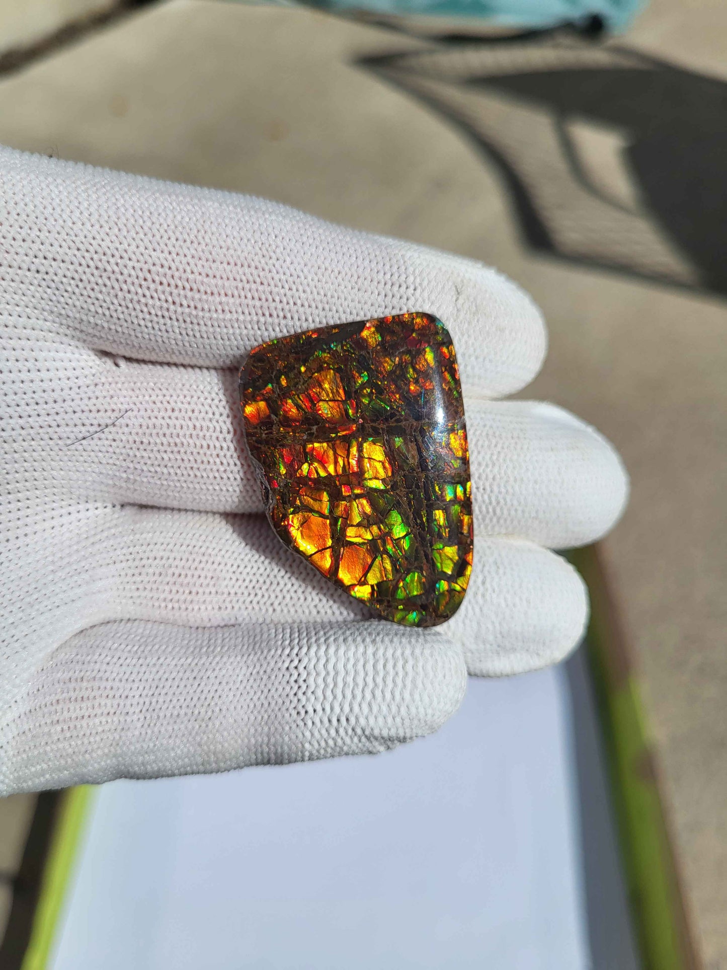 Freeform Ammolite Gemstone - CG07