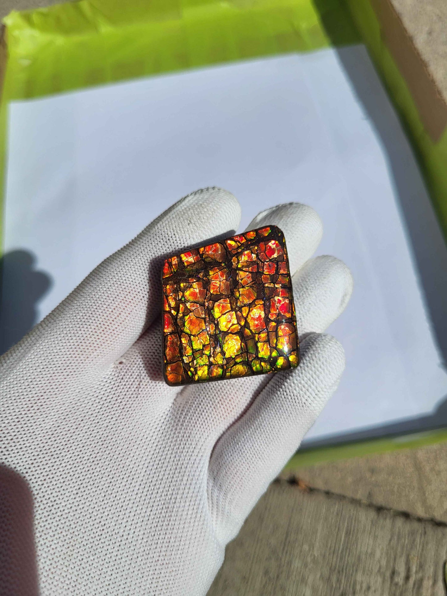 Freeform Ammolite Gemstone - CG08