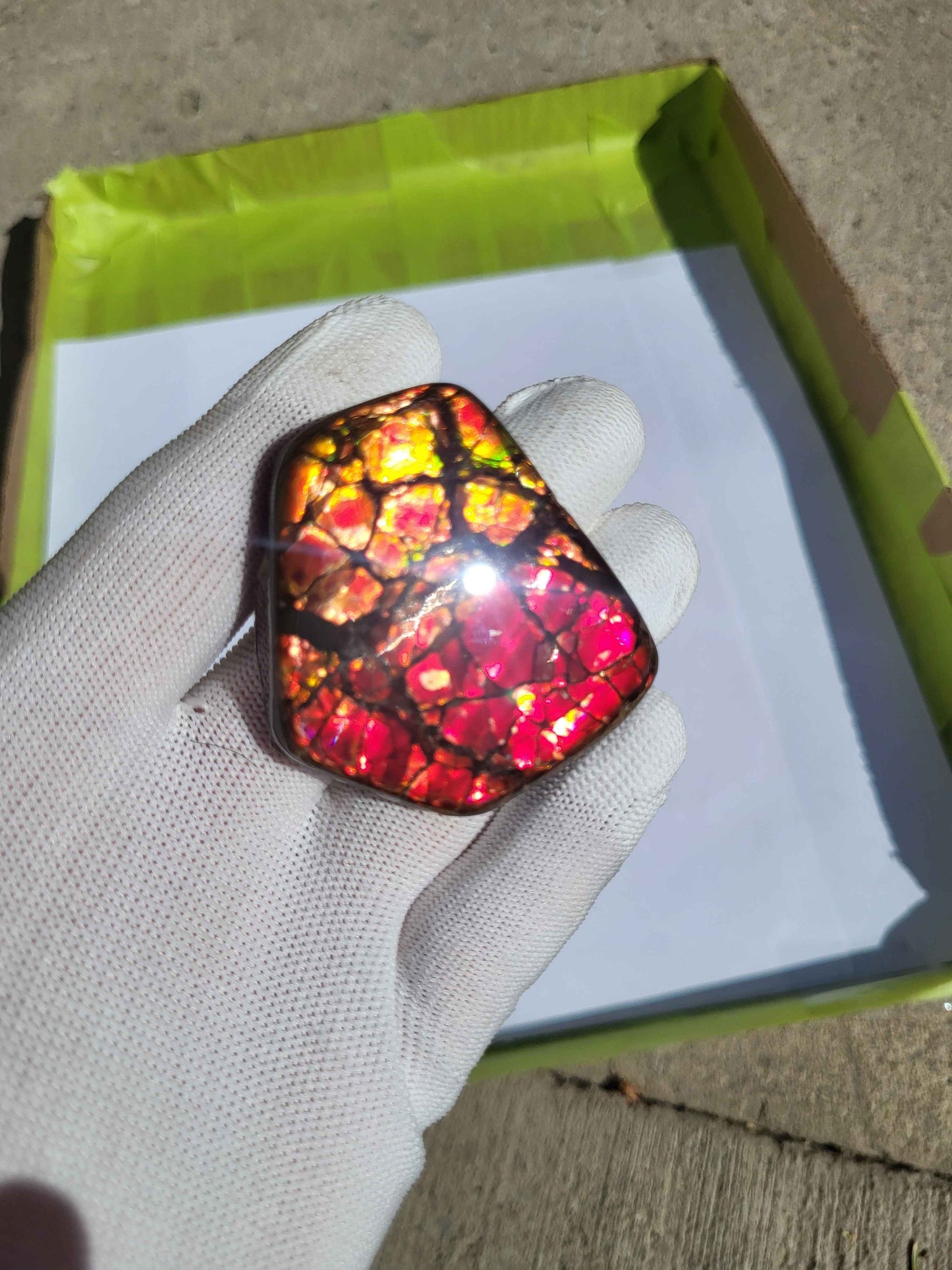 Freeform Ammolite Gemstone - CG10