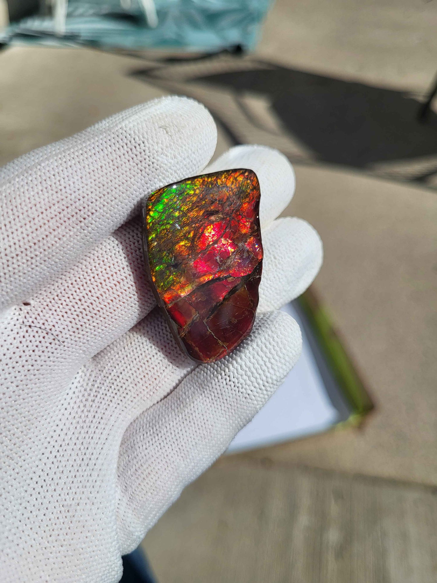 Freeform Ammolite Gemstone - CG11