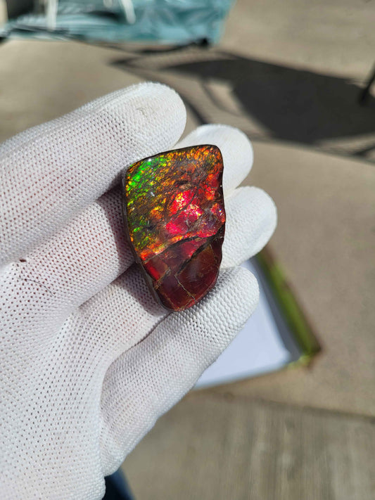 Freeform Ammolite Gemstone - CG11