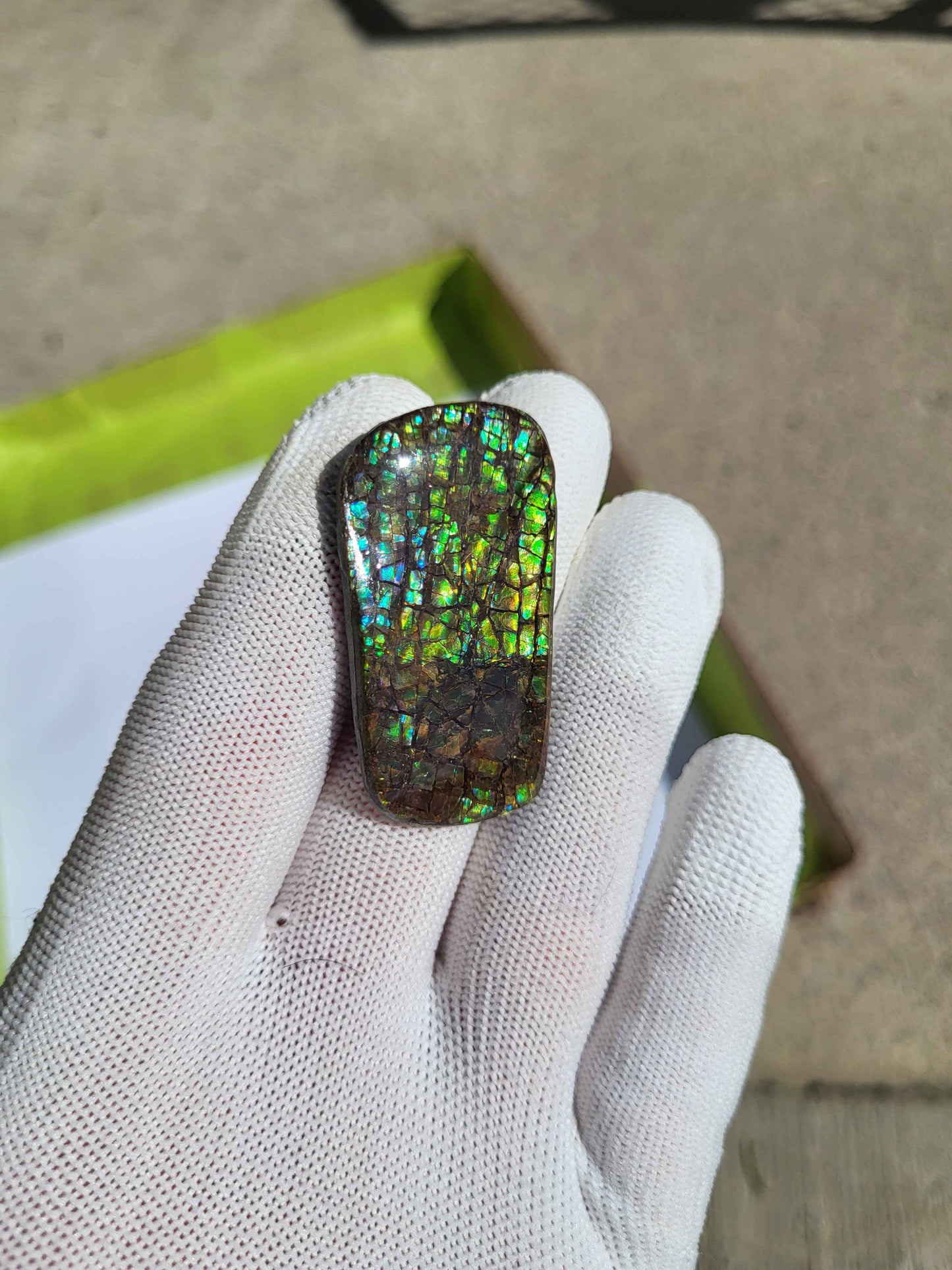 Freeform Ammolite Gemstone - CG12