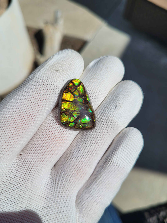 Freeform Ammolite Gemstone - CG18