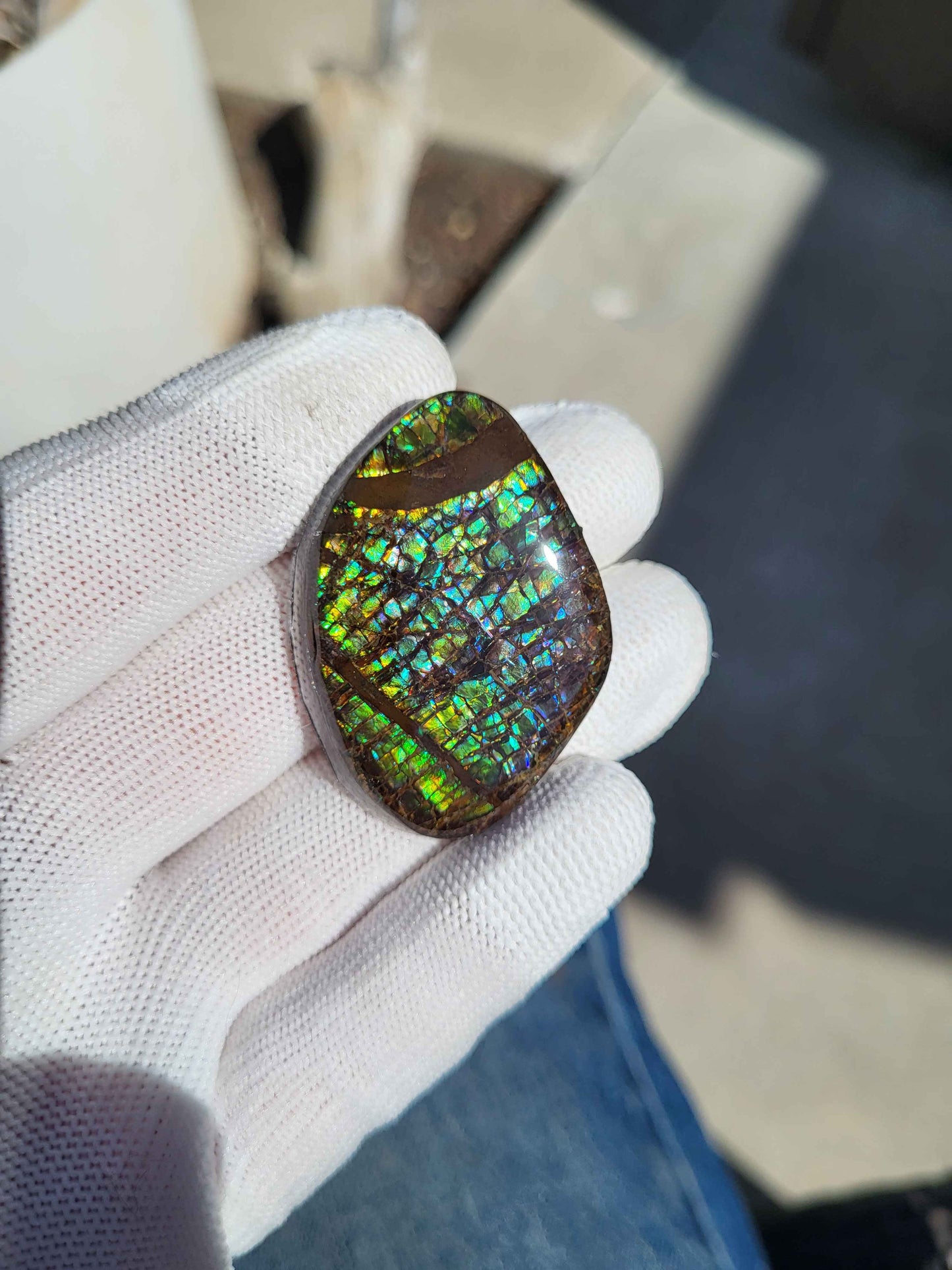 Freeform Ammolite Gemstone - CG19