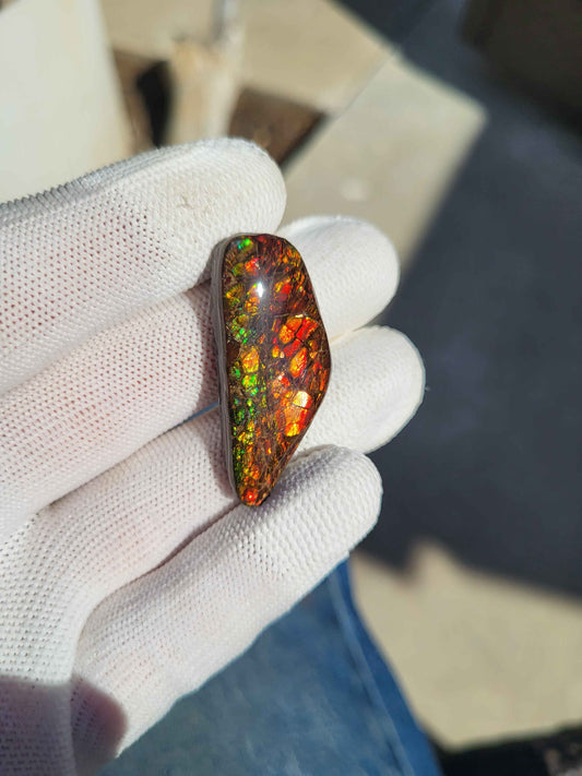 Freeform Ammolite Gemstone - CG23