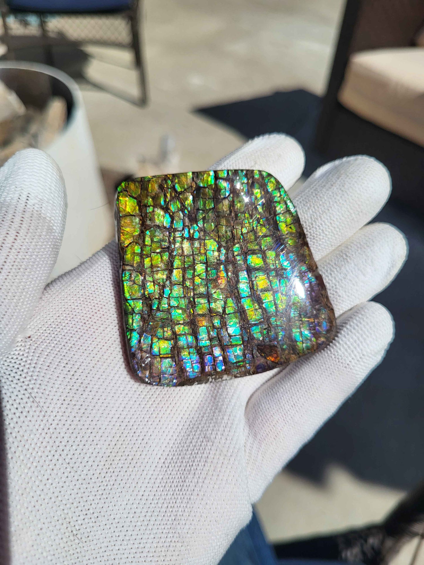 Freeform Ammolite Gemstone - CG24