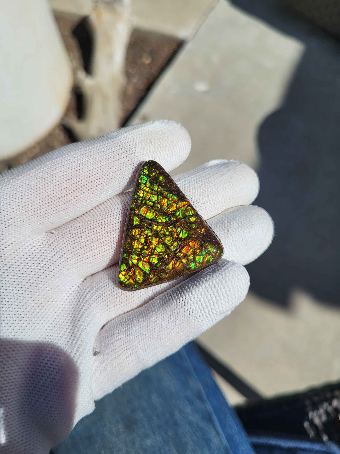 Freeform Ammolite Gemstone - CG27