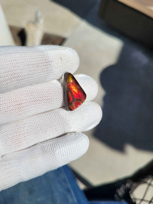 Freeform Ammolite Gemstone - CG30