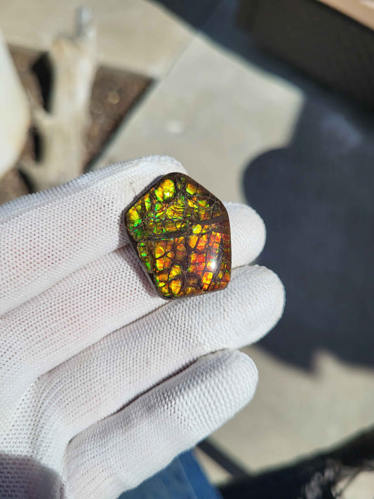 Freeform Ammolite Gemstone - CG32