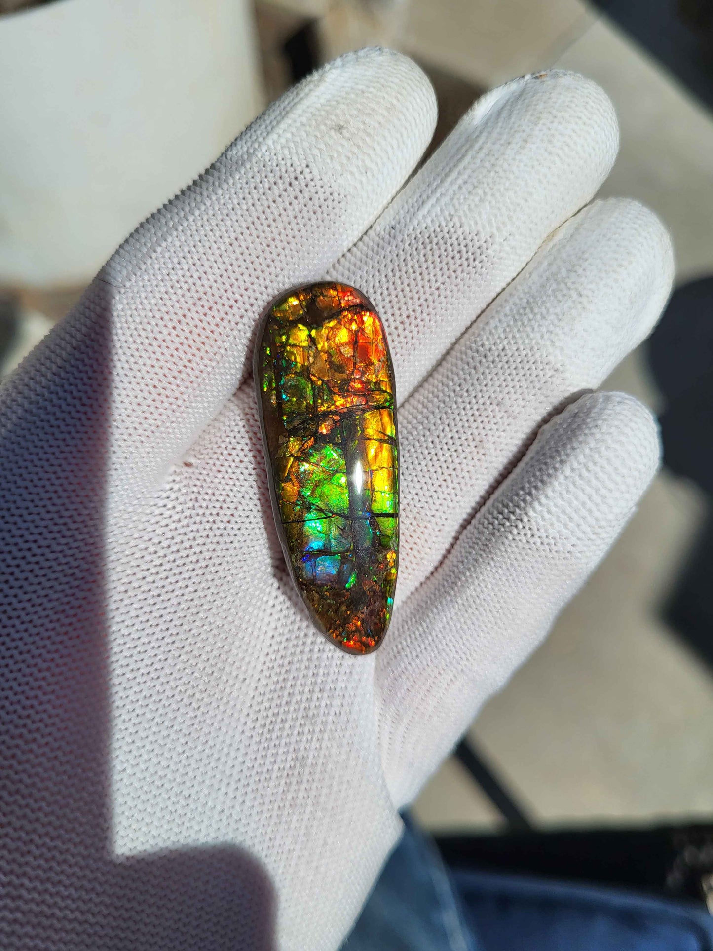 Freeform Ammolite Gemstone - CG37