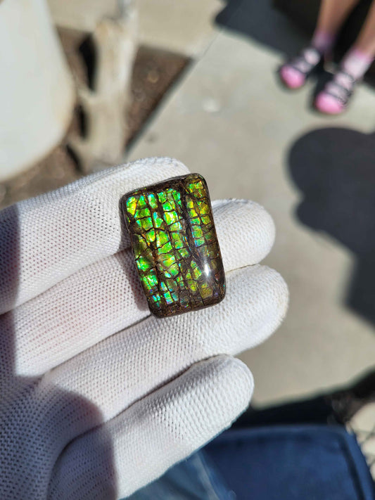 Freeform Ammolite Gemstone - CG42