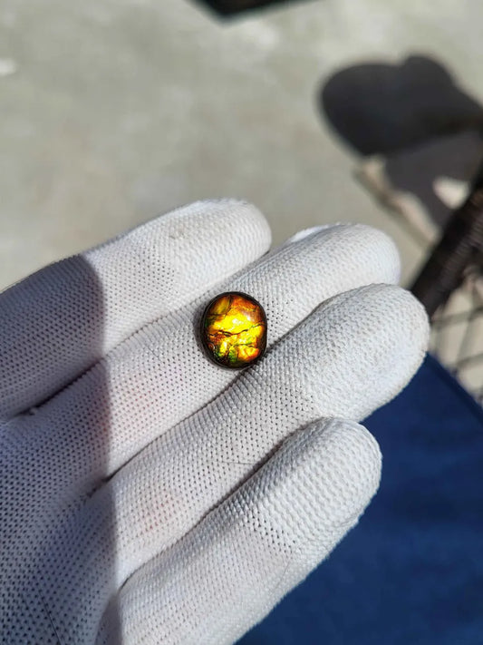Double-Sided Ammolite Gemstone with Pyrite - CG89