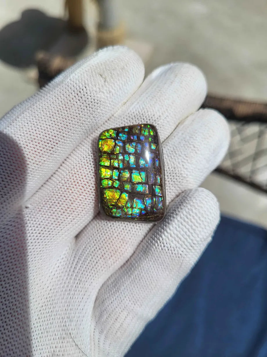 Freeform Ammolite Gemstone - CG34