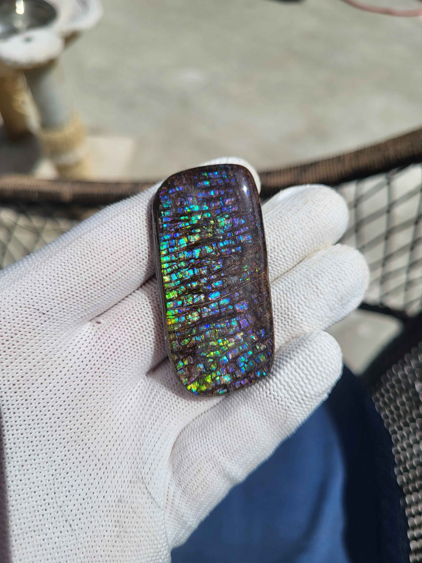 Freeform Ammolite Gemstone - CG43
