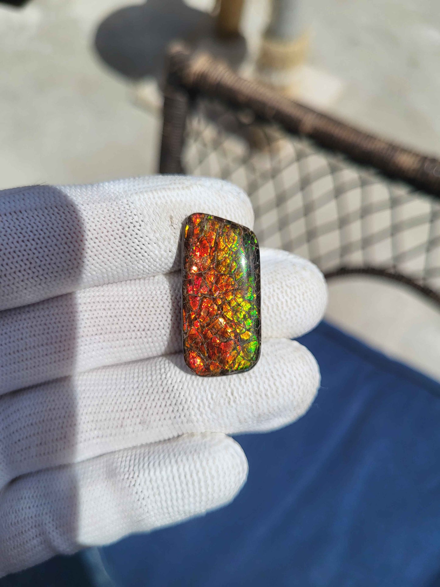 Freeform Ammolite Gemstone - CG20