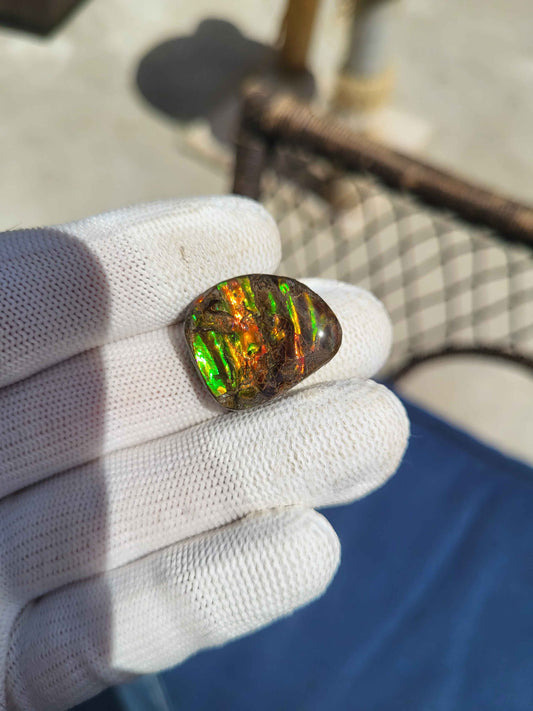 Freeform Ammolite Gemstone - CG53