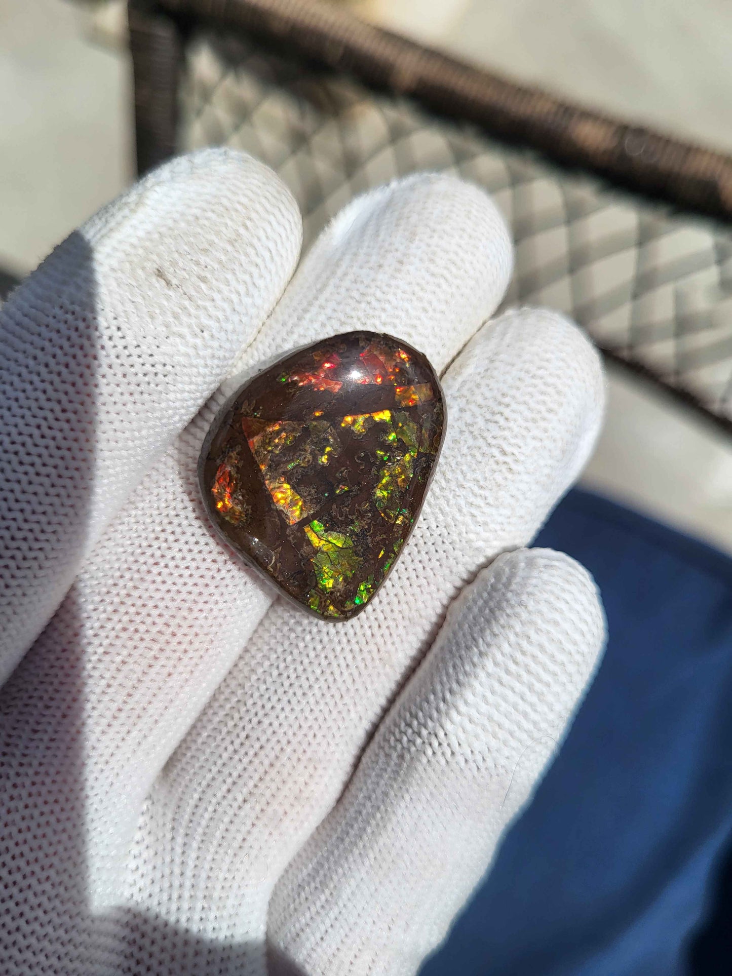 Freeform Ammolite Gemstone - CG54