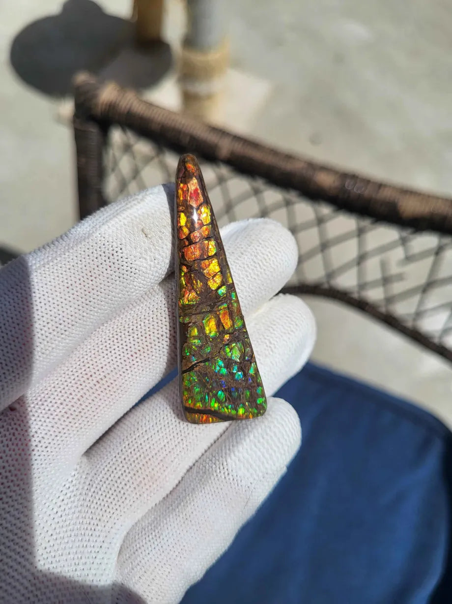 Freeform Ammolite Gemstone - CG56