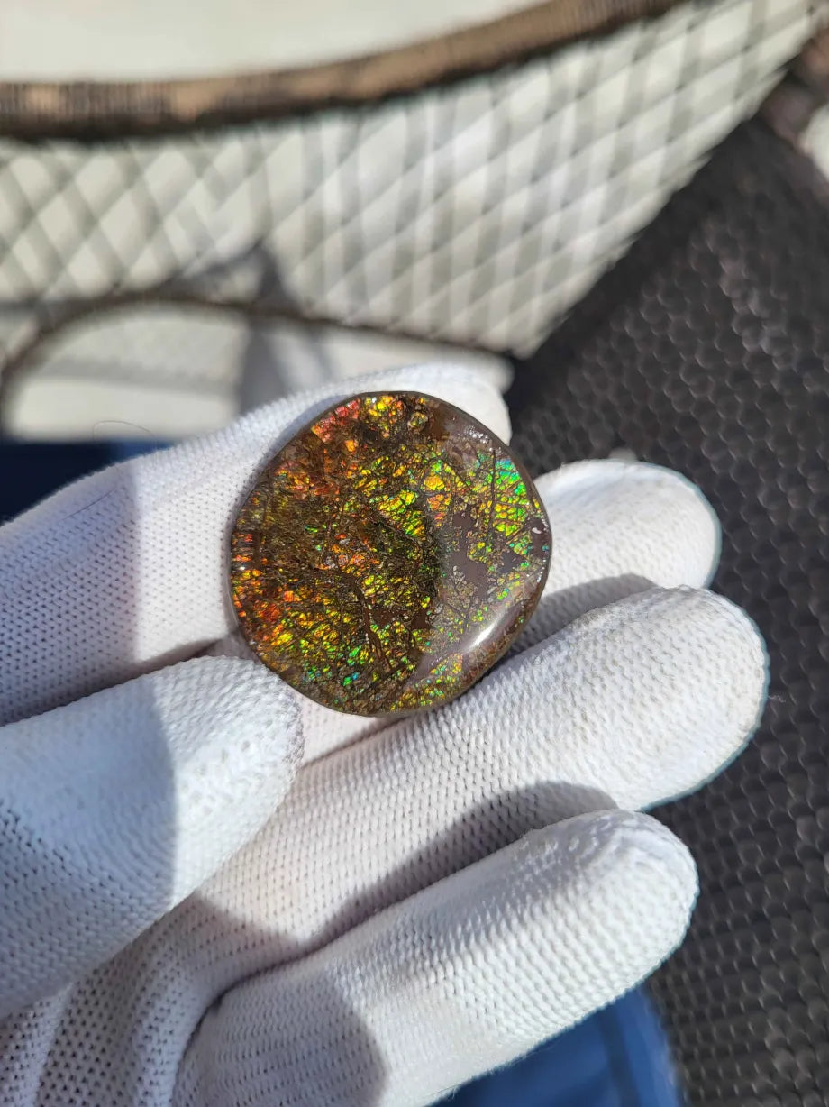 Freeform Ammolite Gemstone - CG57