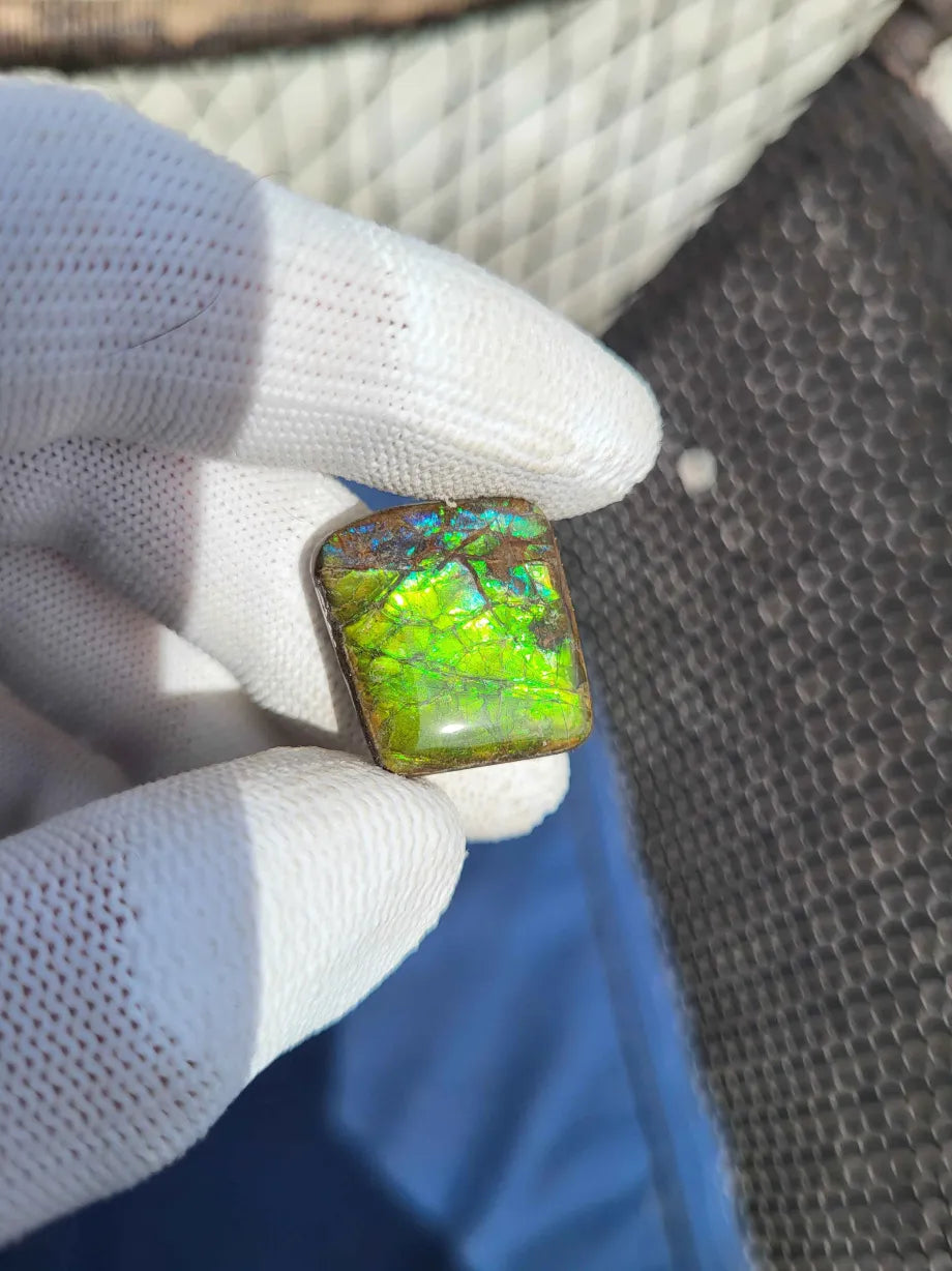 Freeform Ammolite Gemstone - CG58