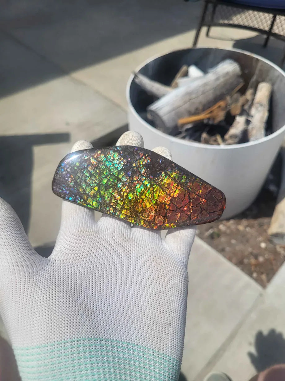 Freeform Ammolite Gemstone - CG63