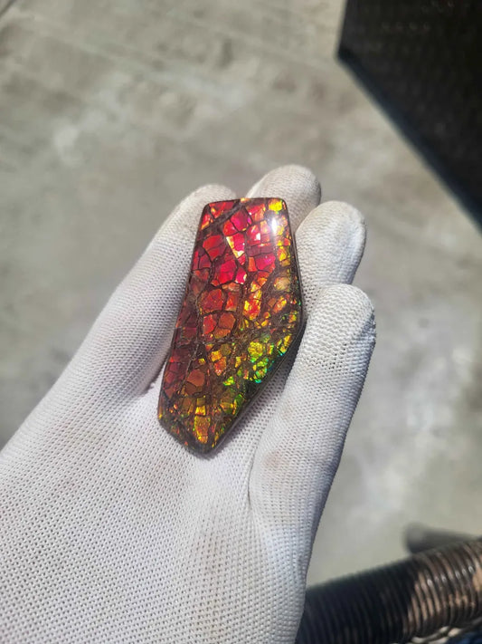 Freeform Ammolite Gemstone - CG65