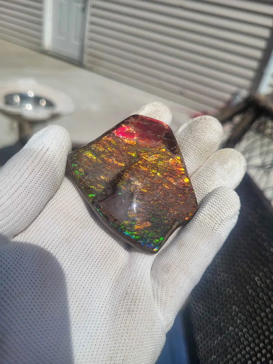 Freeform Ammolite Gemstone - CG69