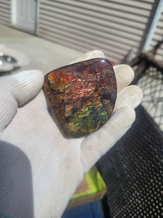 Freeform Ammolite Gemstone - CG70