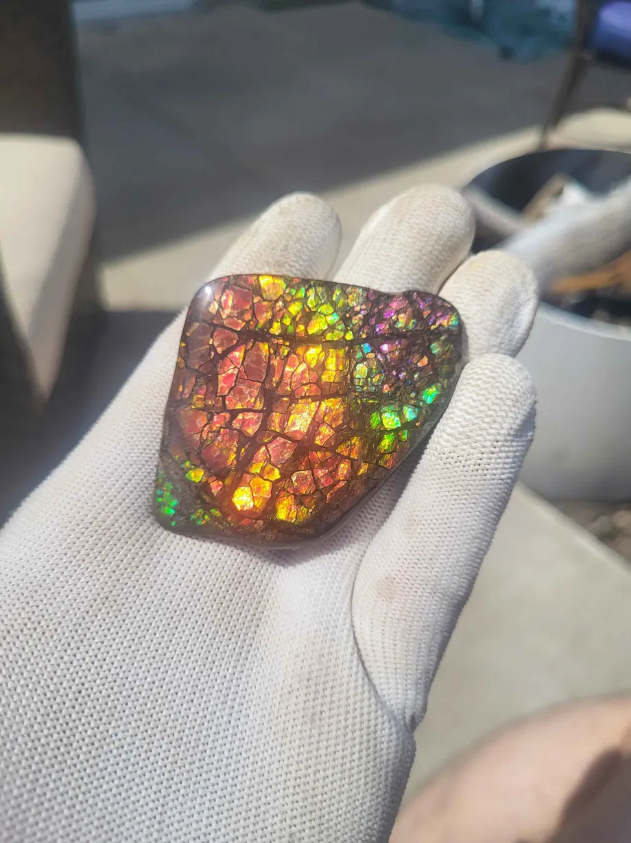 TRUE PINK Freeform Ammolite Gemstone - CG73