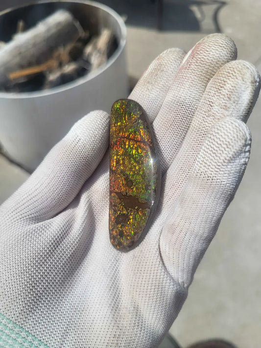 Freeform Ammolite Gemstone - CG74