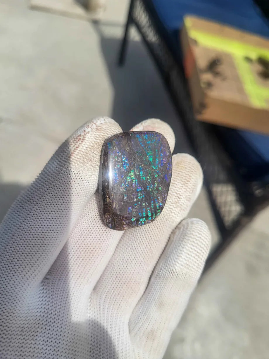 Freeform Ammolite Gemstone - CG77