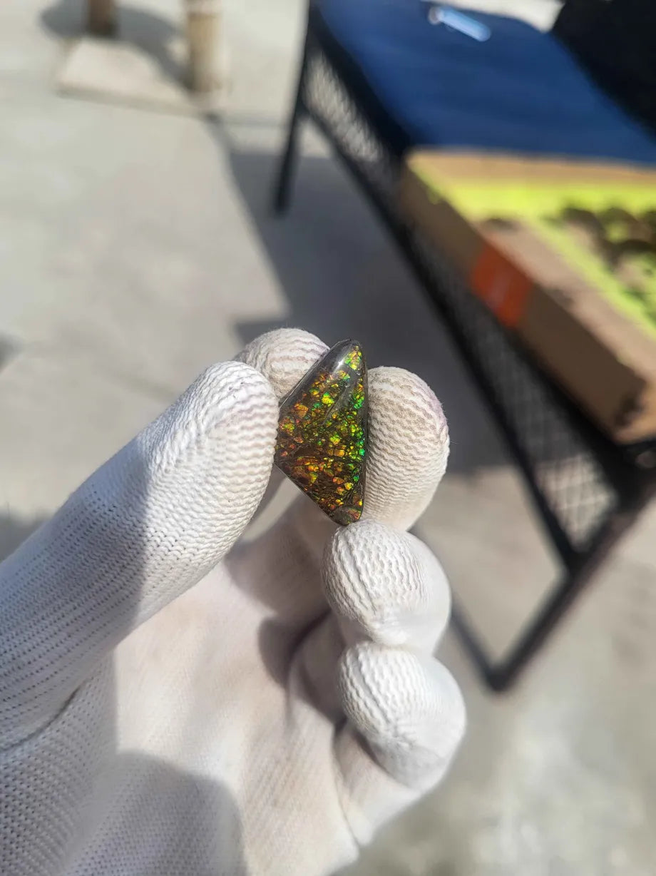 Freeform Ammolite Gemstone - CG80