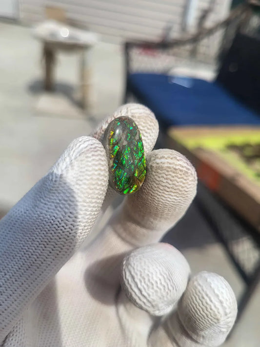 Oval Ammolite Gemstone - CG87