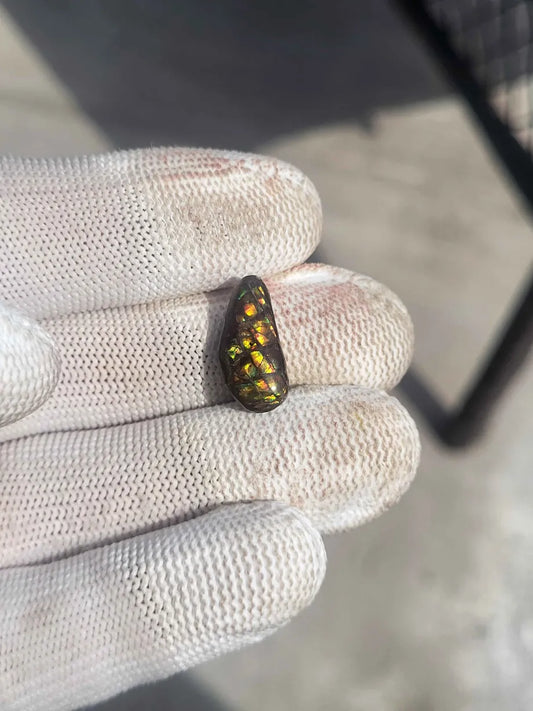 Freeform Ammolite Gemstone - CG85