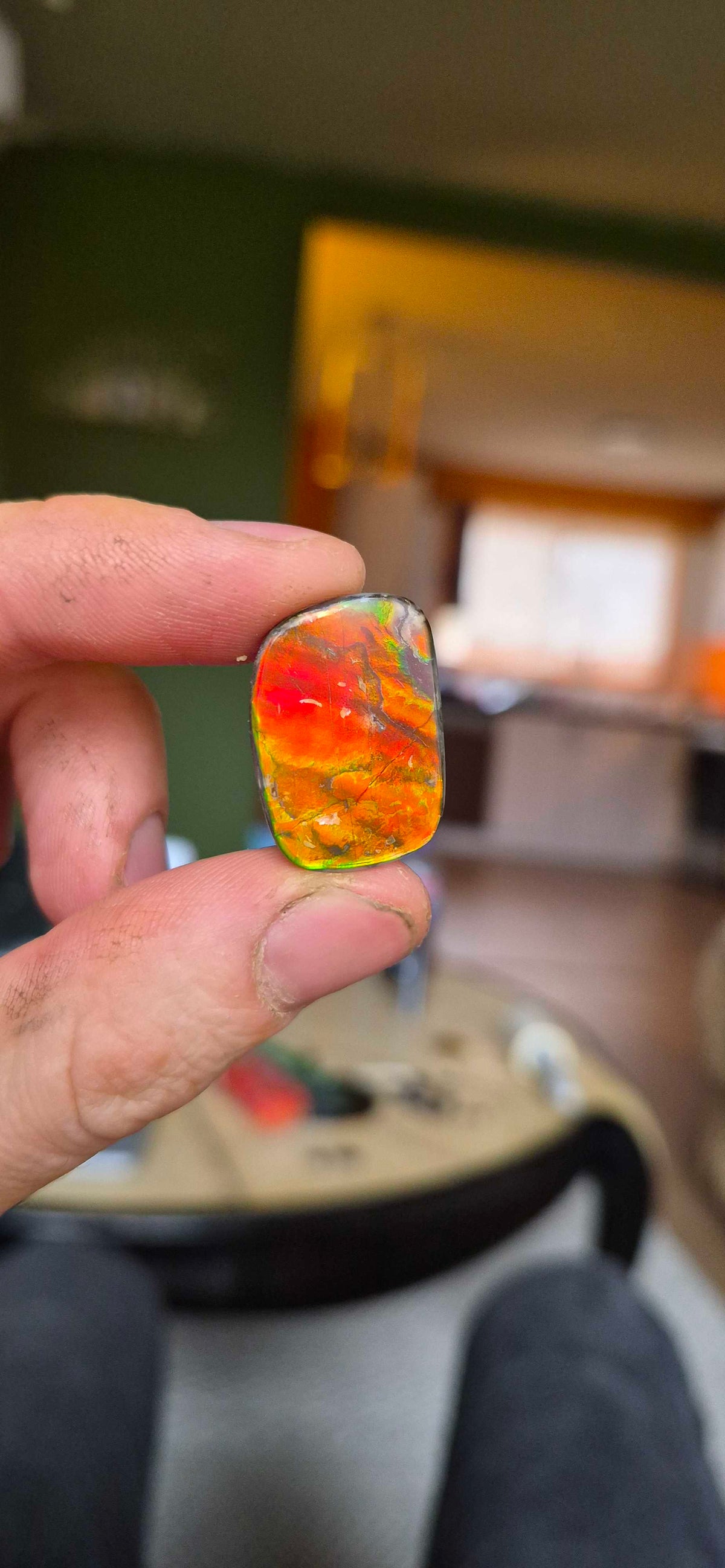 Blue Zone ammolite CGT03 held in hand for scale