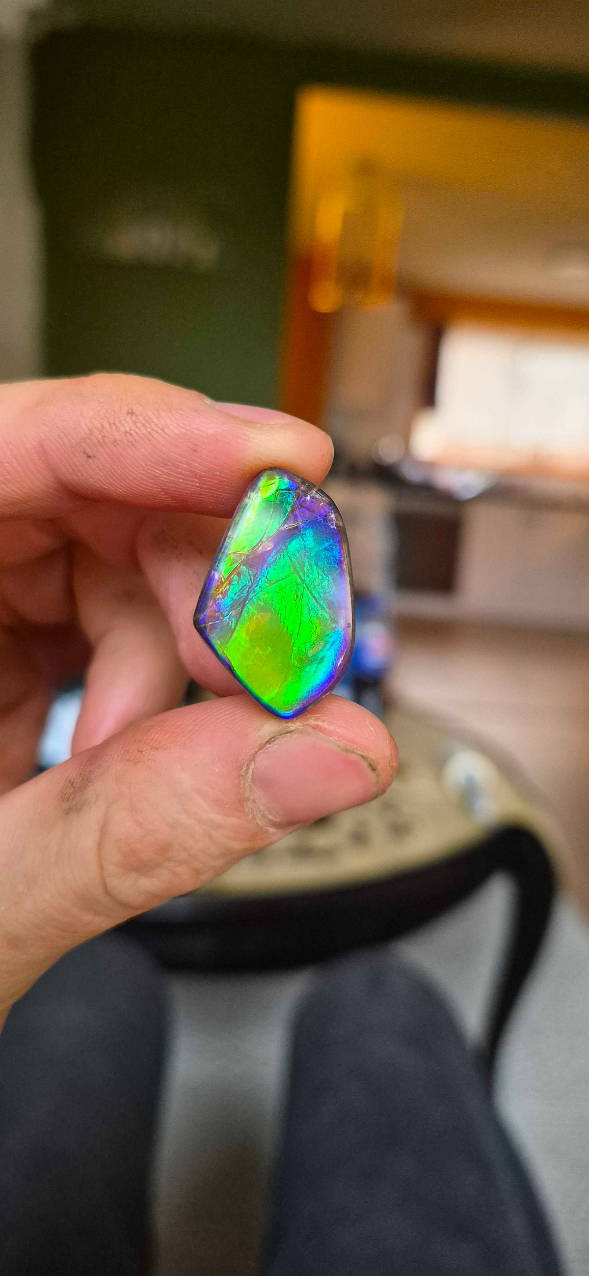 Blue Zone ammolite CGT11 held in hand for scale