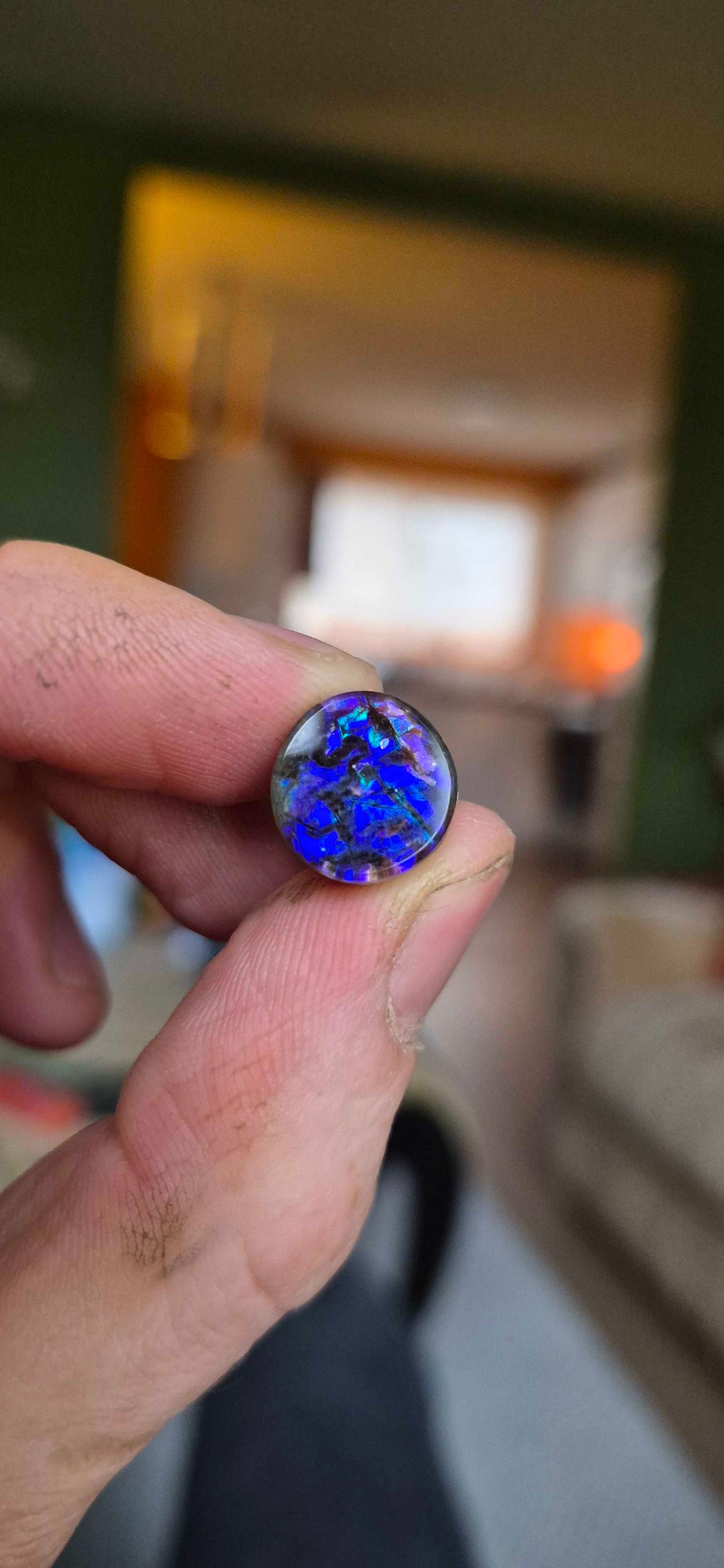 Blue Zone ammolite CGT12 held in hand for scale