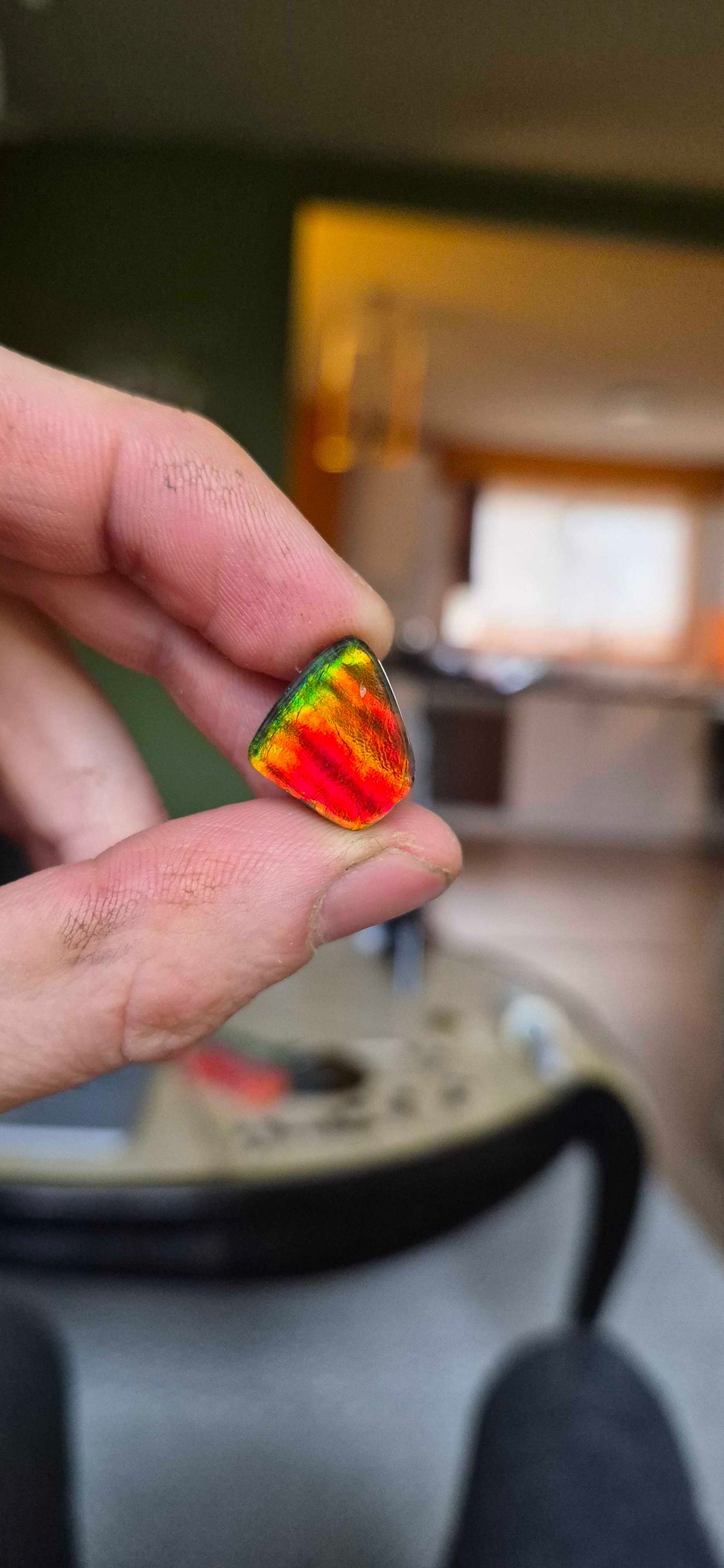 Blue Zone ammolite CGT13 held in hand for scale