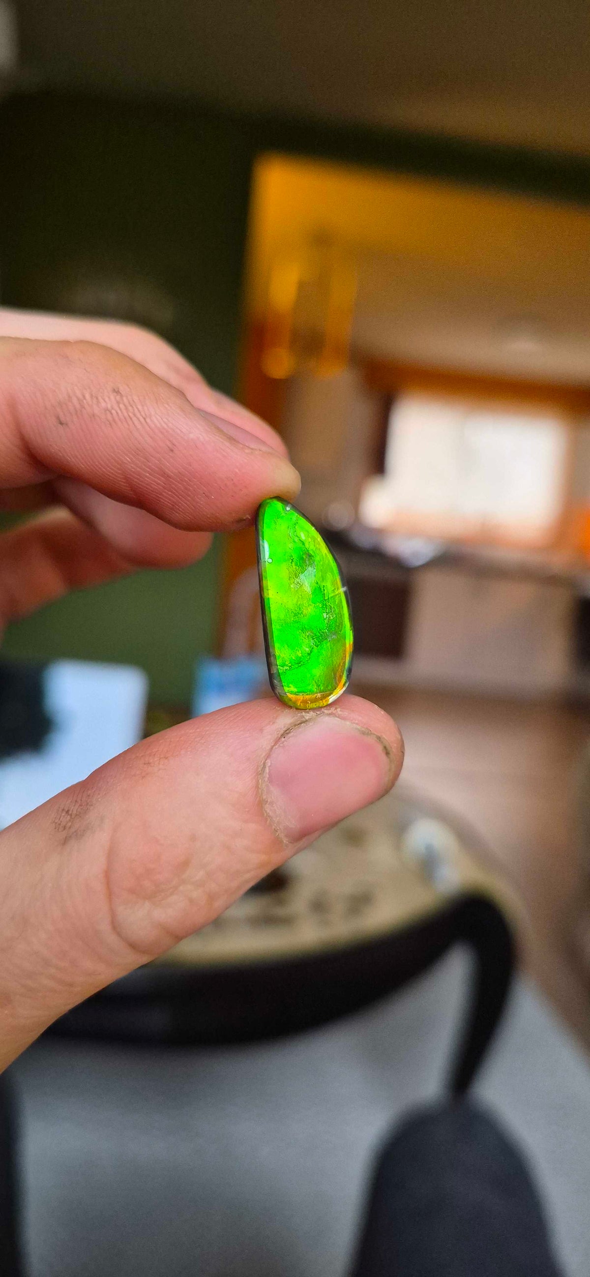 Blue Zone ammolite CGT16 held in hand for scale