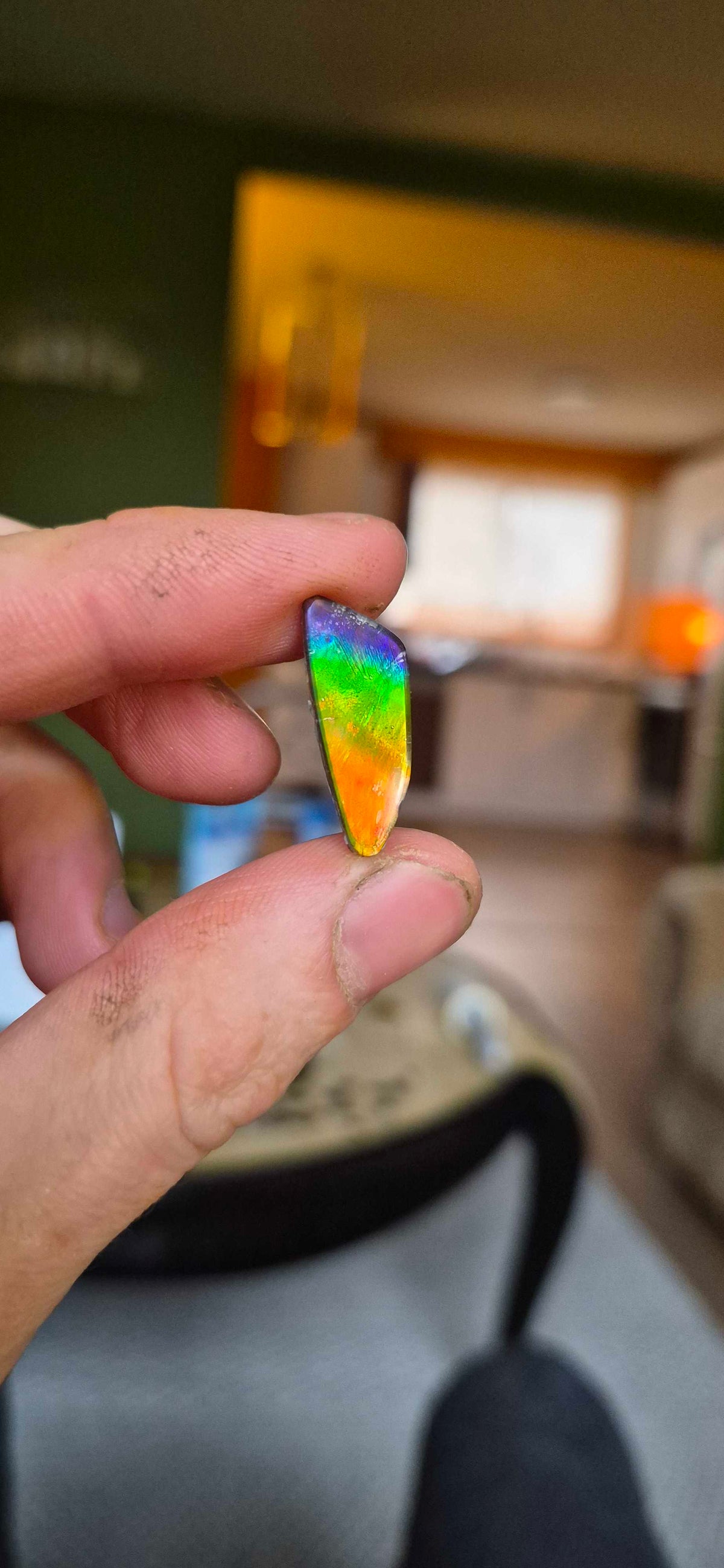 Blue Zone ammolite CGT18 held in hand for scale