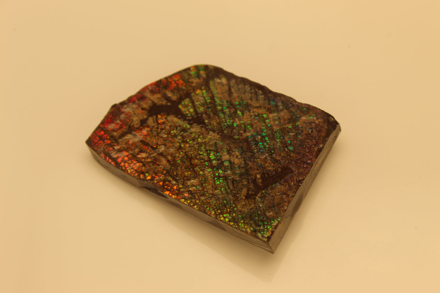 Ammolite Pendant A-#11