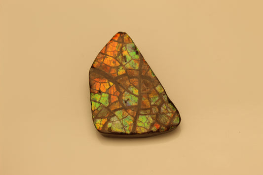 Ammolite Pendant A-#3
