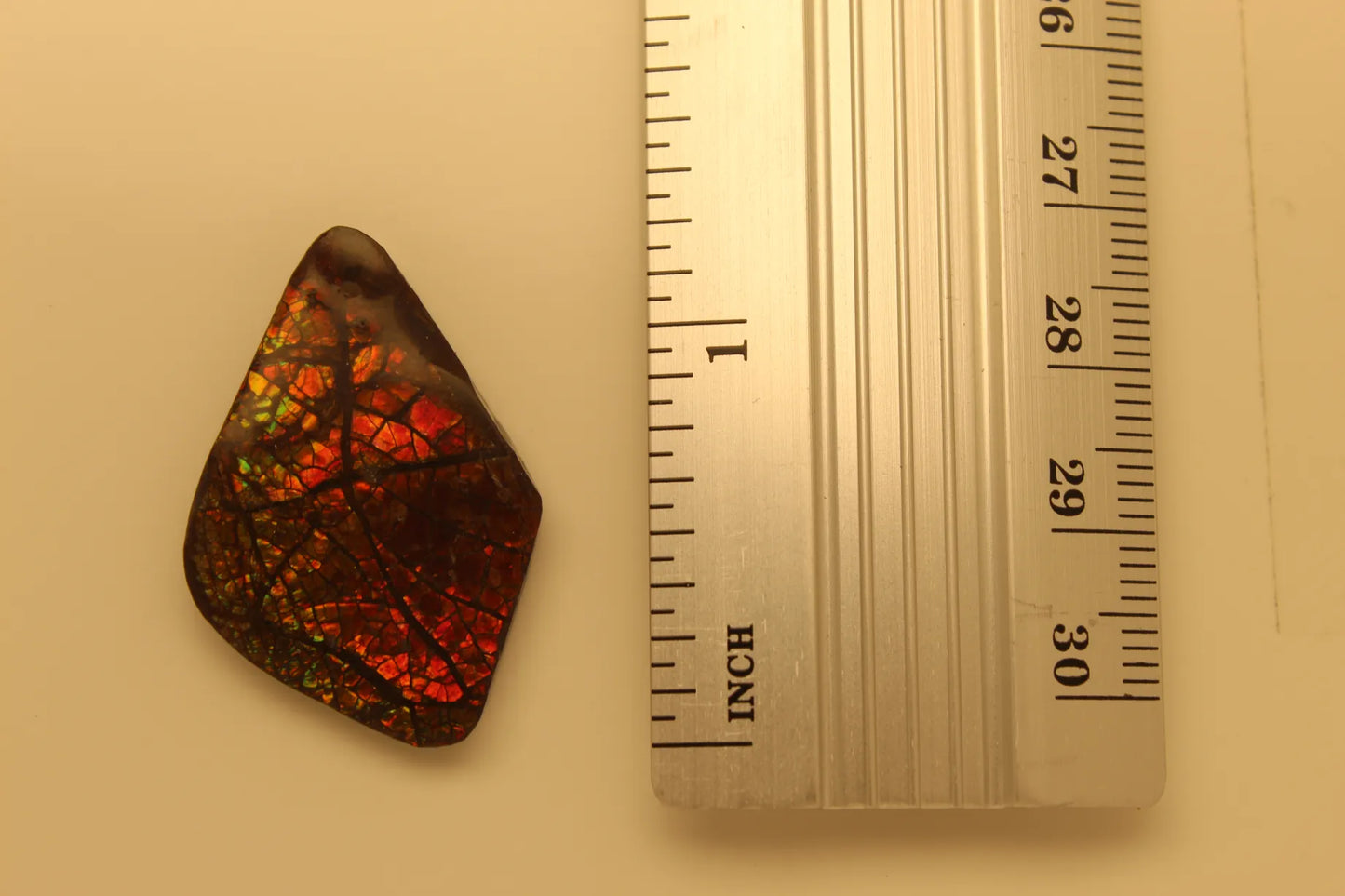 Ammolite Pendant A-#2