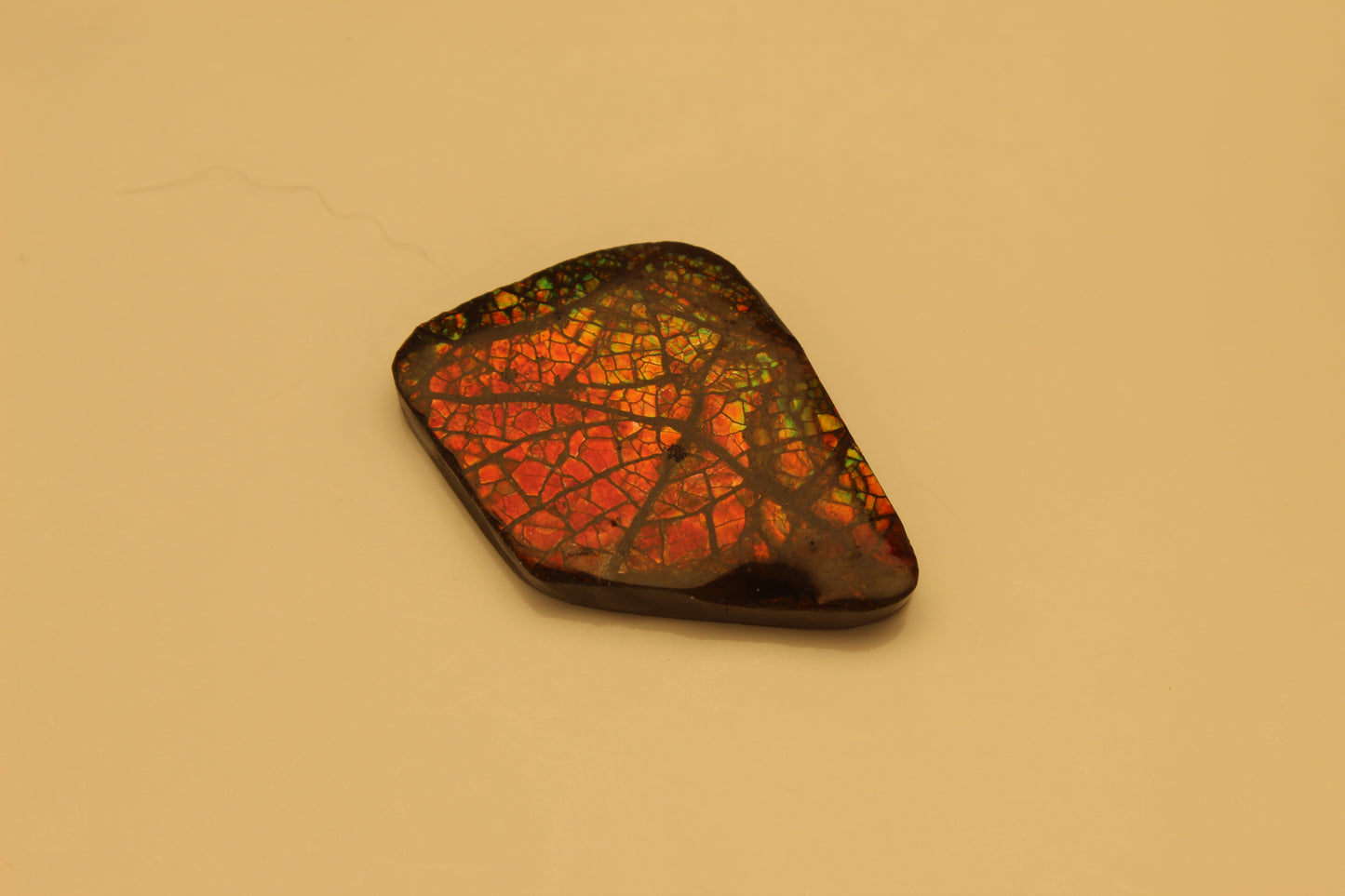 Ammolite Pendant A-#2