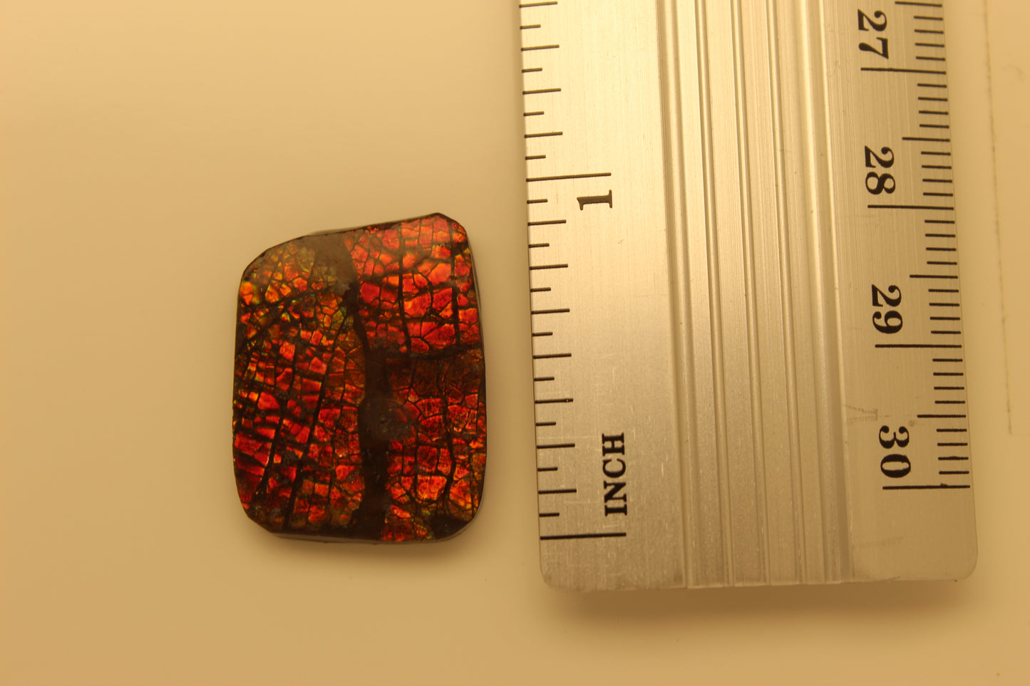 Ammolite Pendant A-#4
