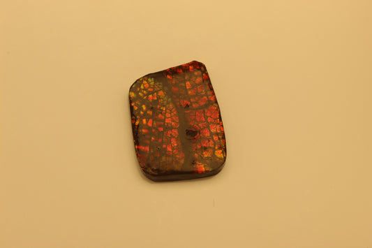 Ammolite Pendant A-#4