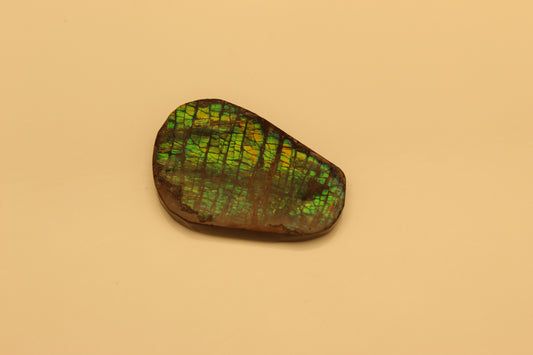 Ammolite Pendant A-#5