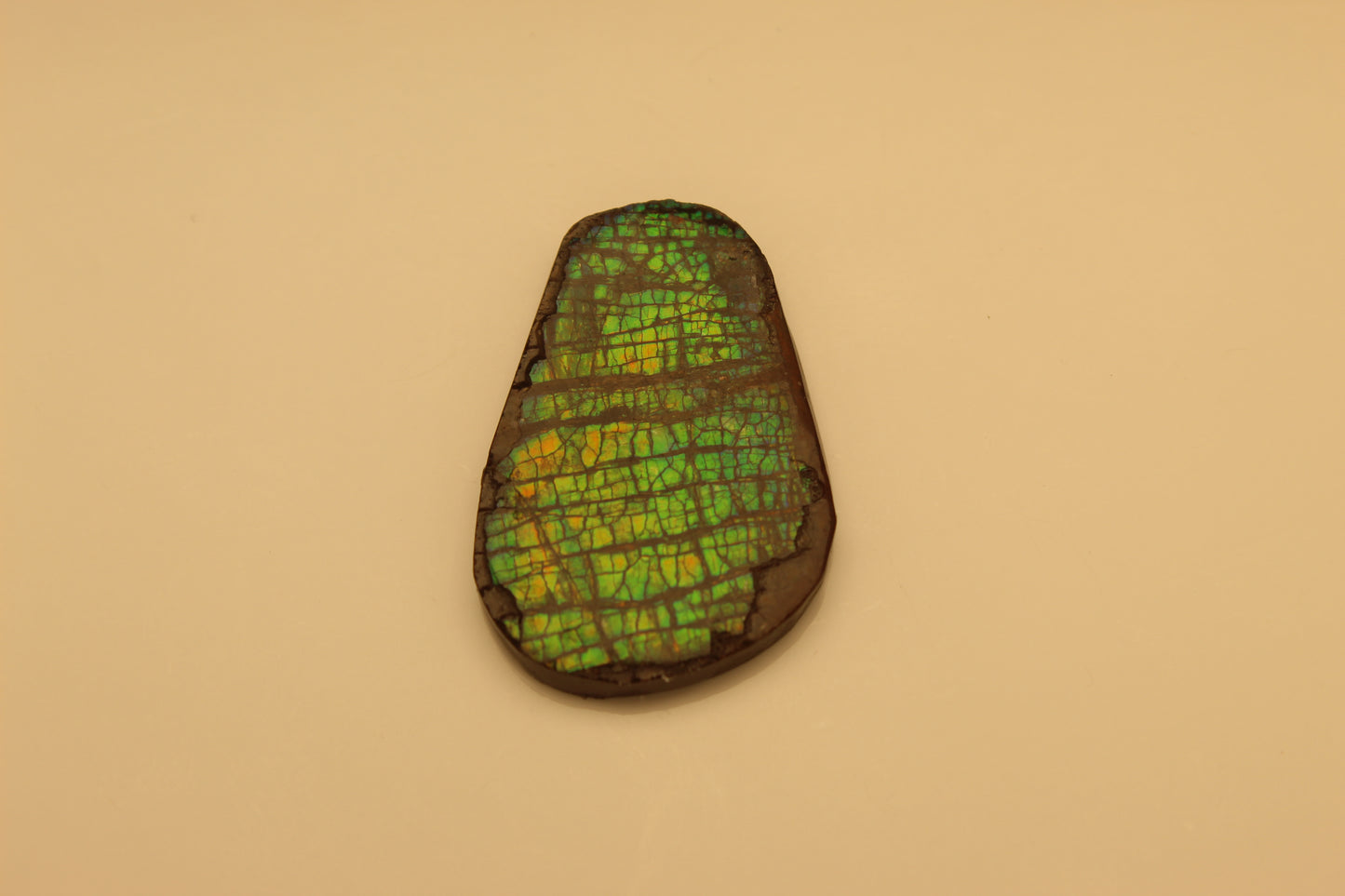 Ammolite Pendant A-#5